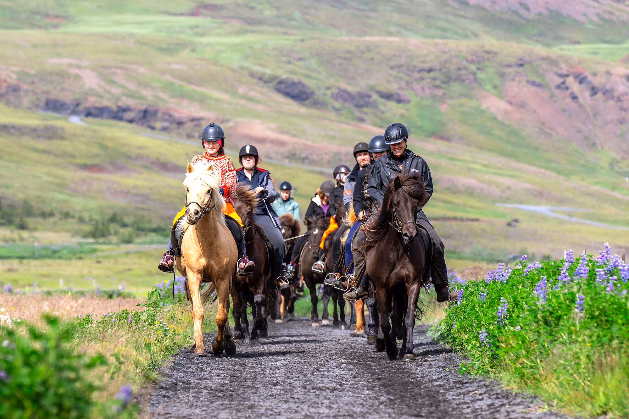 Groupe de cavaliers sur des chevaux islandais avançant sur une piste de campagne lors d’un séjour équestre dans le sud de l’Islande.
