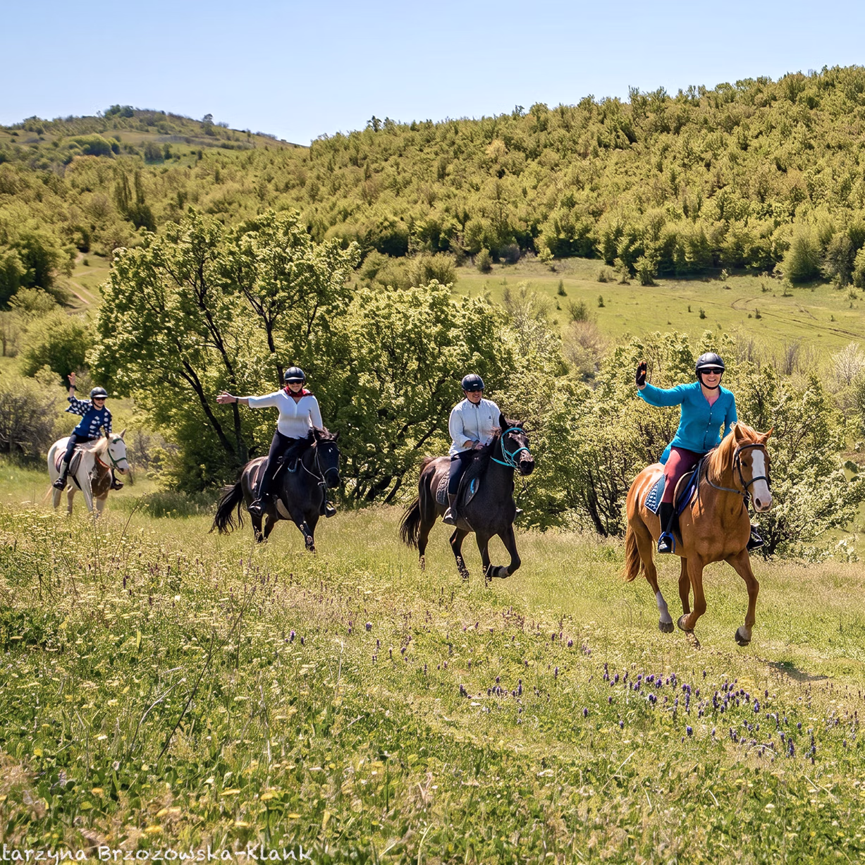Un groupe de cavaliers parcourt de verdoyantes collines vallonnées, avec un cavalier souriant qui fait signe de la main.