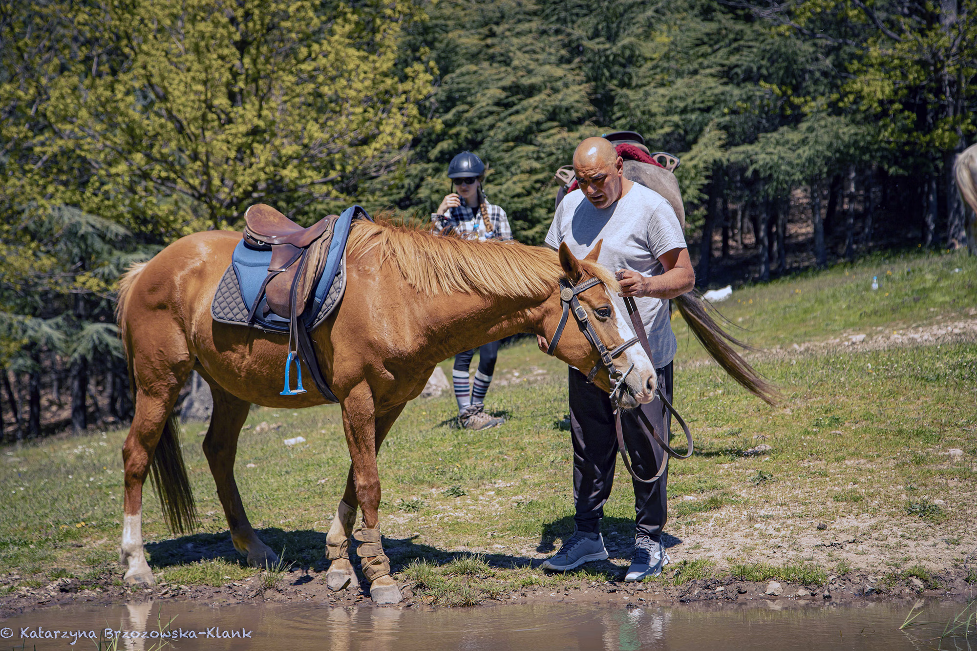 Vue de profil d’un cheval et de son cavalier se tenant au bord d’un lac de montagne.