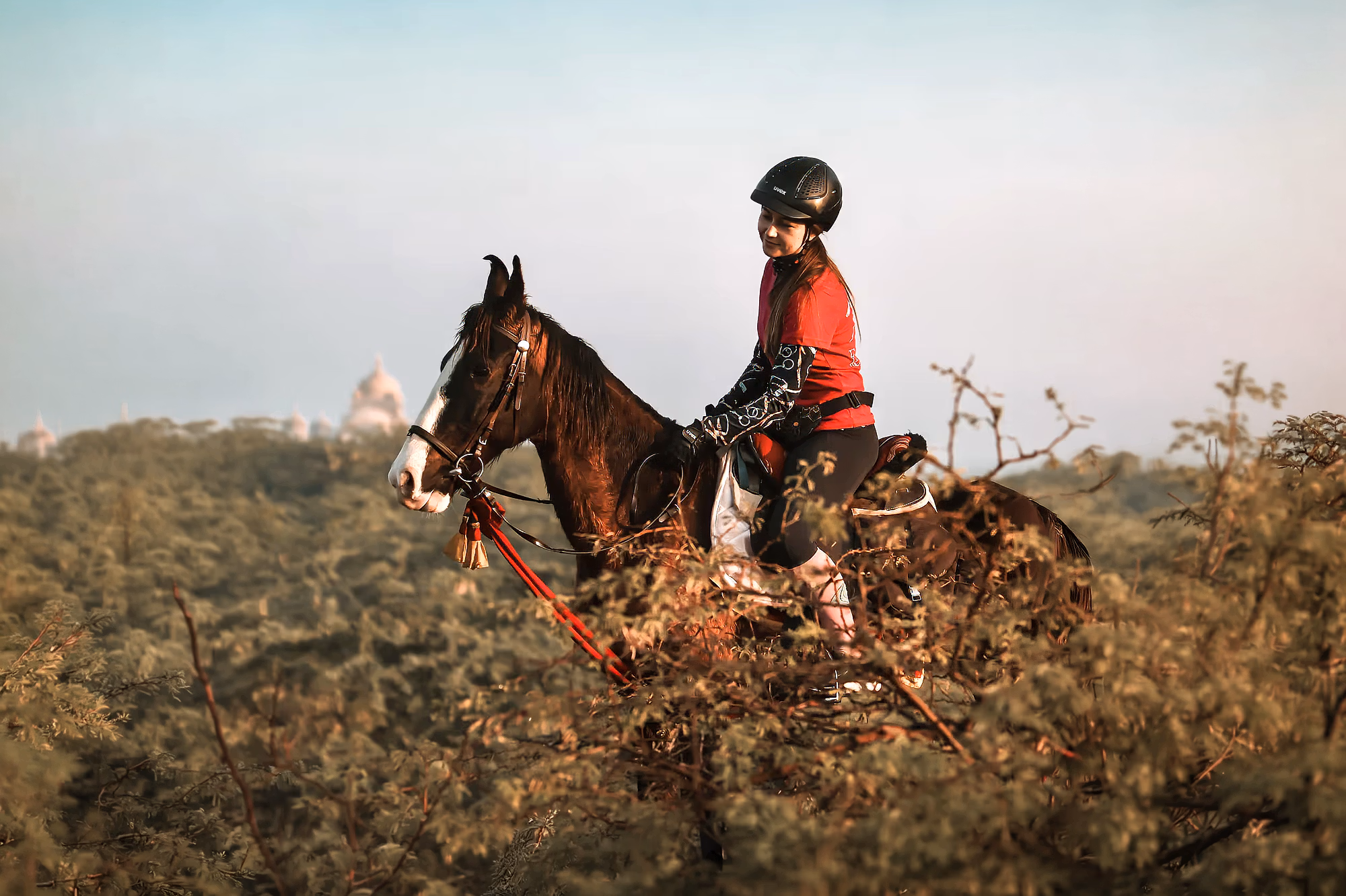Une cavalière partage un moment de complicité avec son cheval, vu de profil.