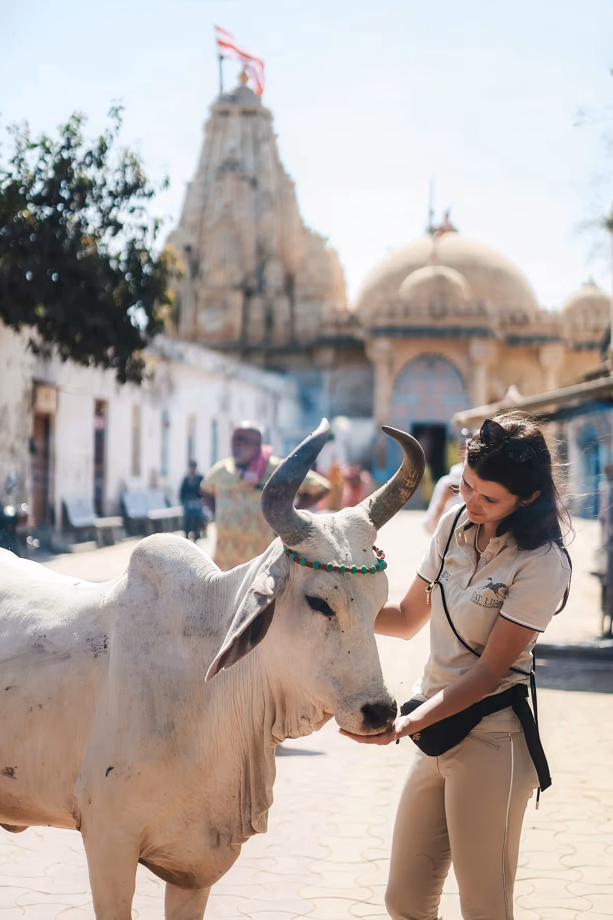 Une femme caresse doucement une vache aux cornes arrondies devant un temple traditionnel.