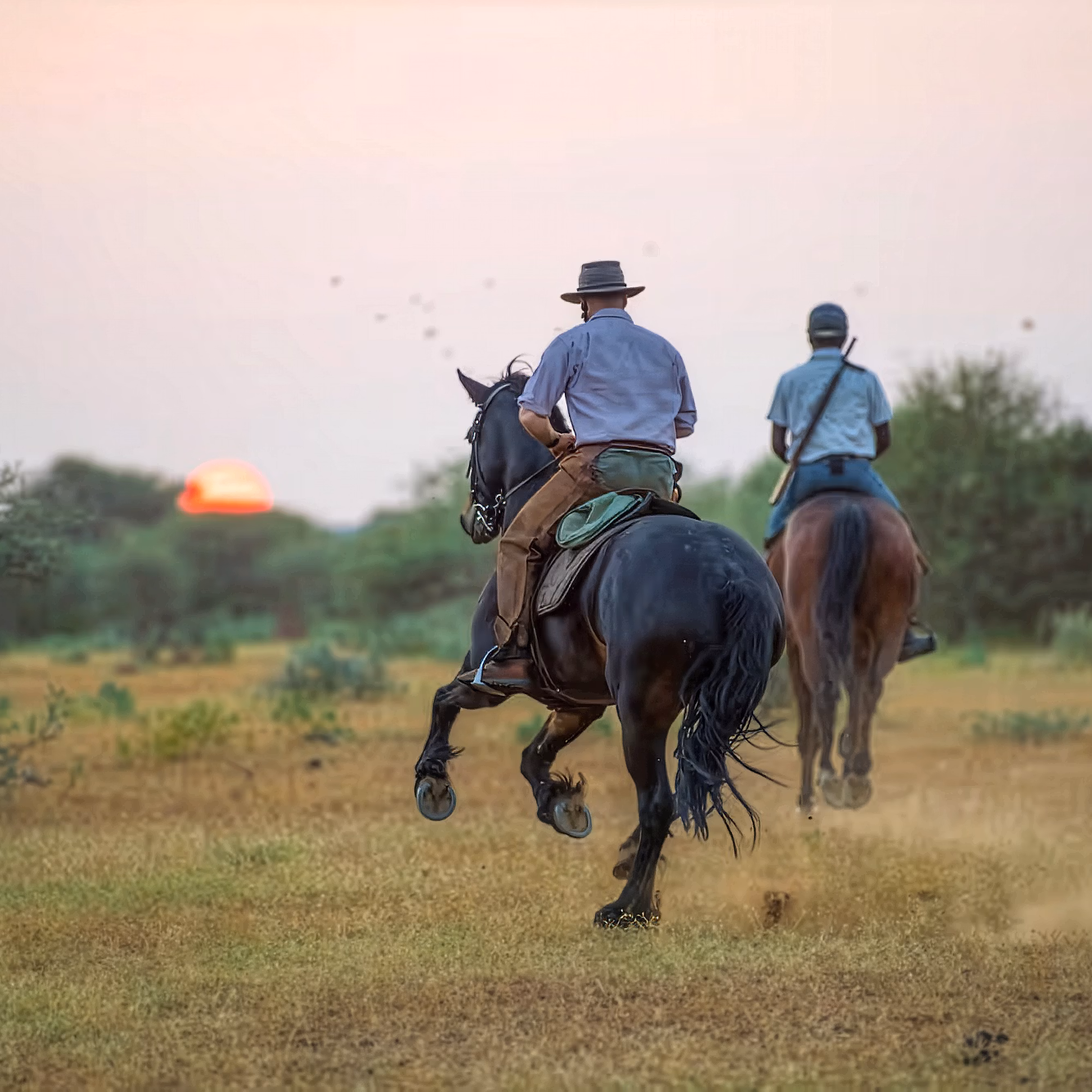 Un guide et un cavalier galopent dans la savane africaine au coucher du soleil lors d’un safari équestre.