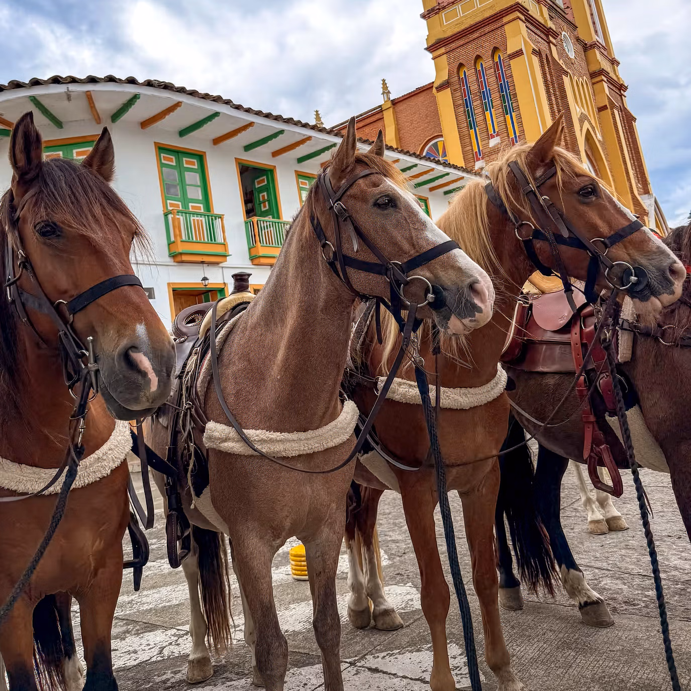 Un groupe de chevaux devant des bâtiments coloniaux colorés dans le centre historique de Carthagène.