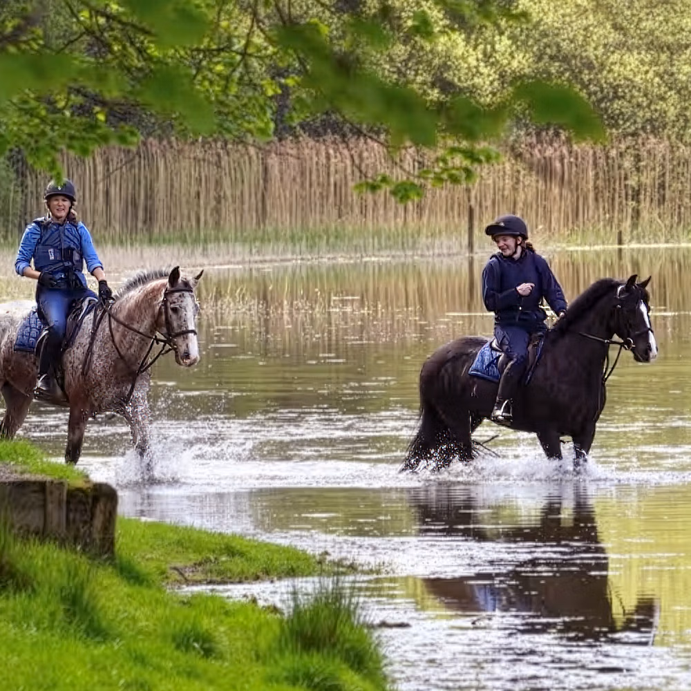 Deux cavaliers traversant calmement les eaux peu profondes au bord d’un lac pittoresque.