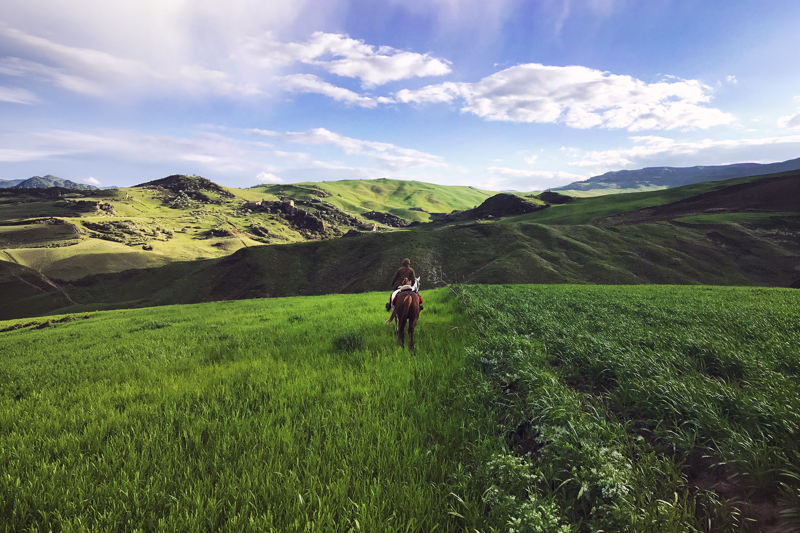 A group of horseback riders traveling deeper into the rolling green hills of Sicily during the Coast to Coast riding tour tour.