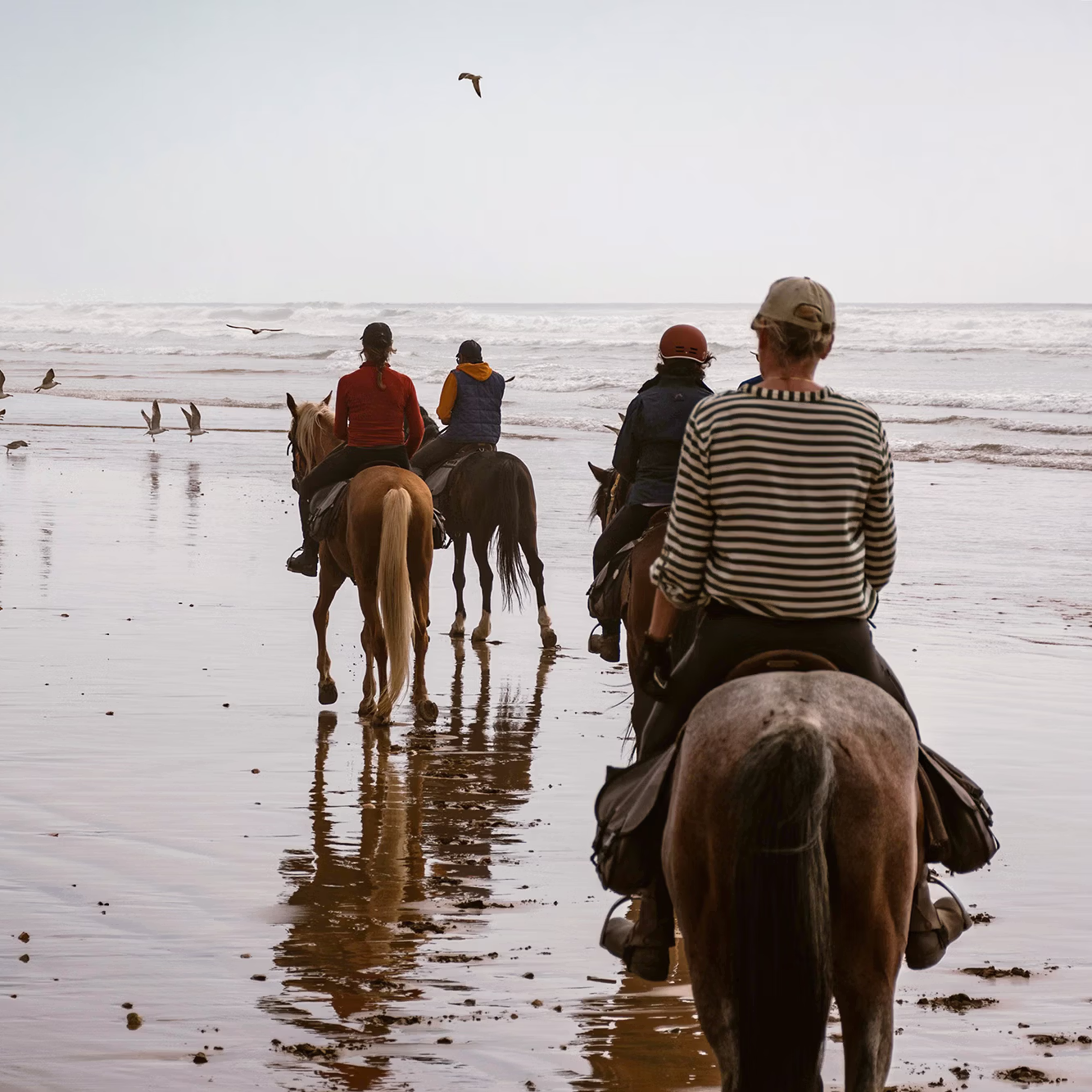 Quelques cavaliers longent le rivage, leurs chevaux avançant sur le sable humide et scintillant de la plage.