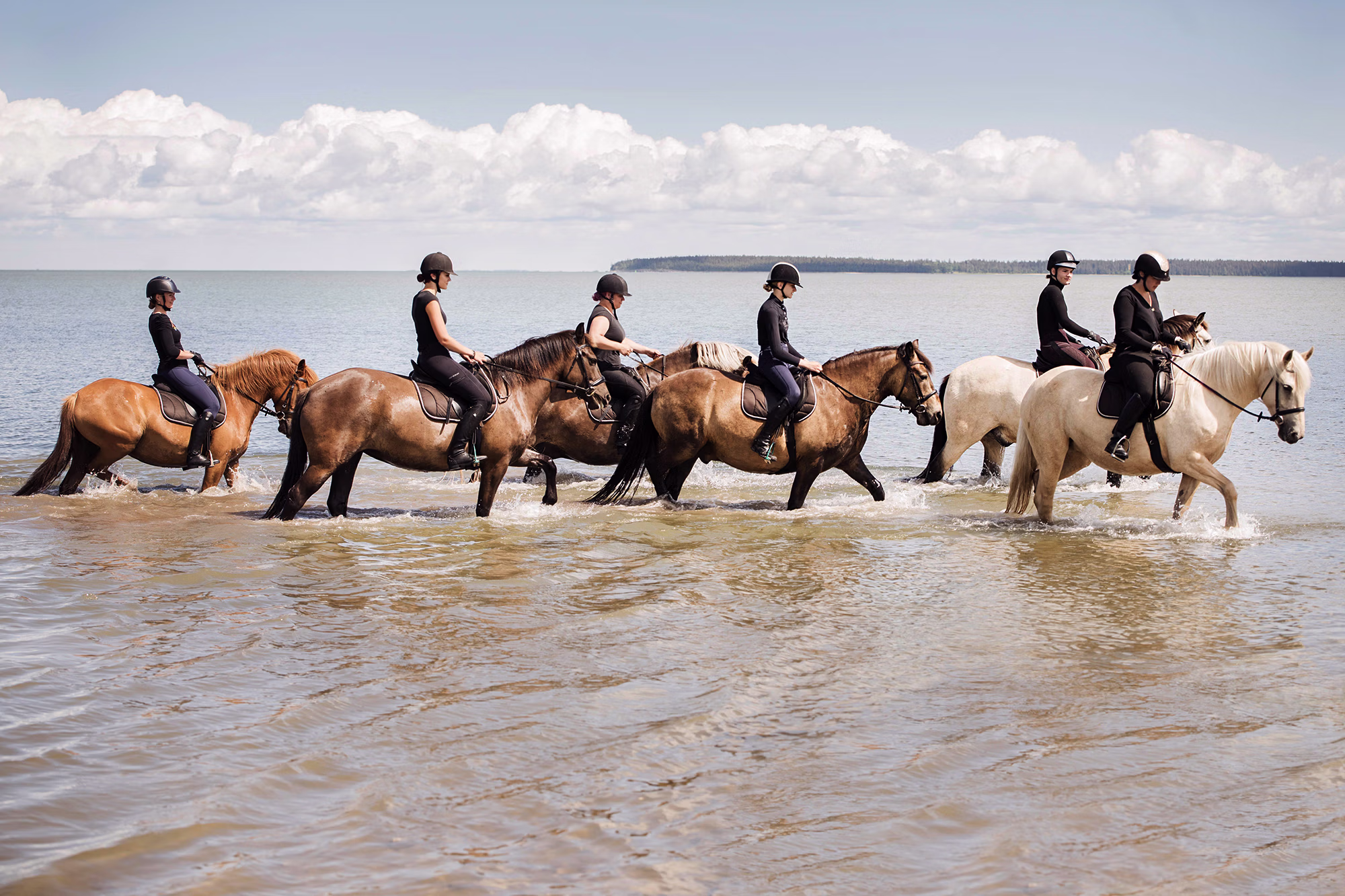 Un groupe de cavaliers guide ses chevaux à travers les eaux peu profondes de la mer Baltique.