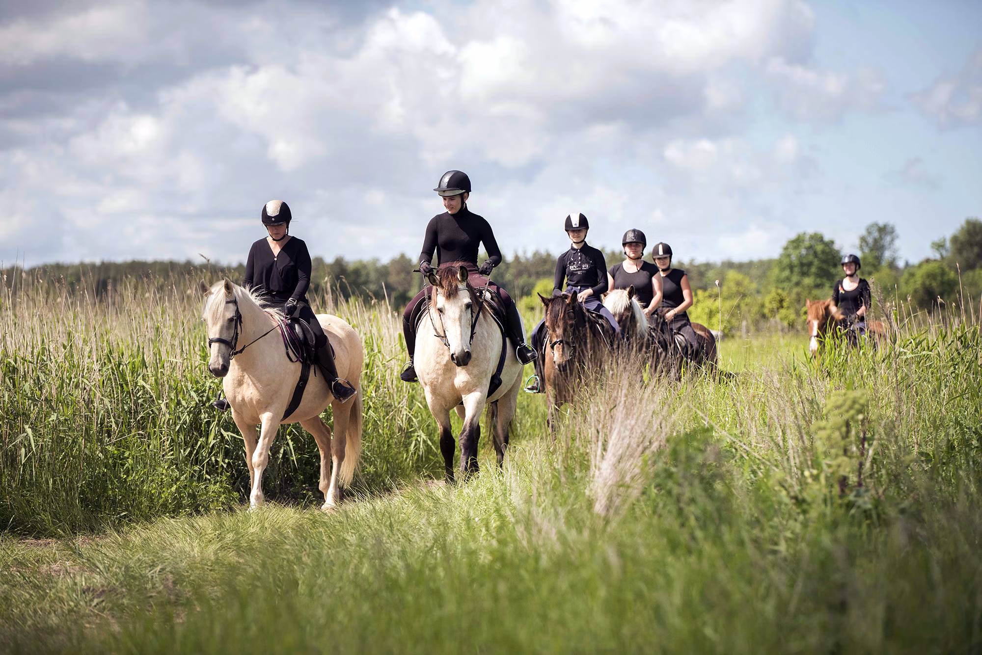 Un groupe de cavaliers suit un étroit sentier à travers de hautes herbes verdoyantes.