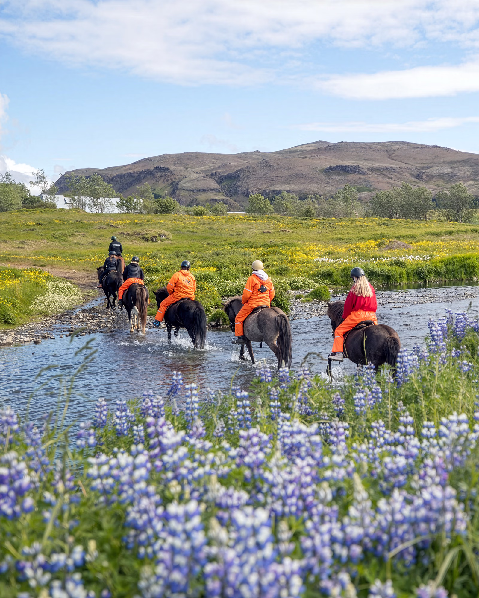 Randonnée équestre sur des chevaux islandais avec montagnes et paysages volcaniques en arrière-plan.
