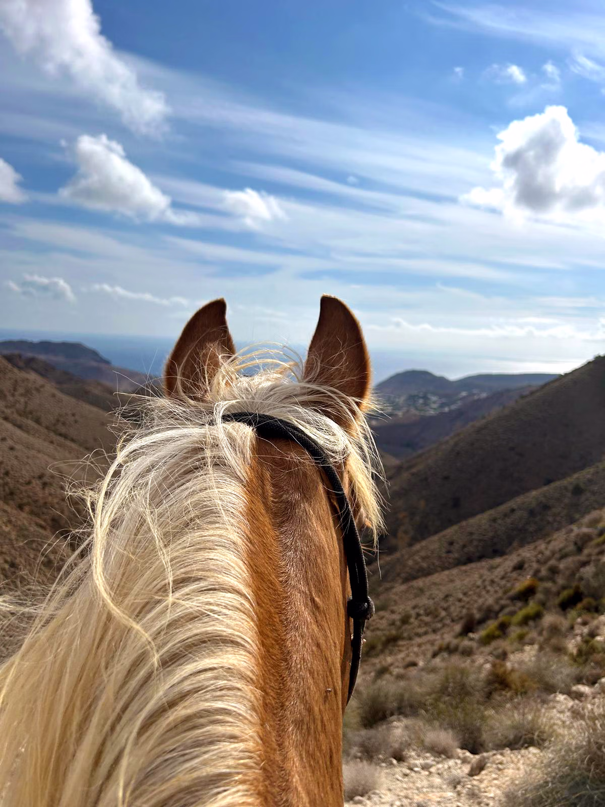 Vue depuis la selle par-dessus la tête d’un cheval à la crinière beige, face à un vaste paysage.
