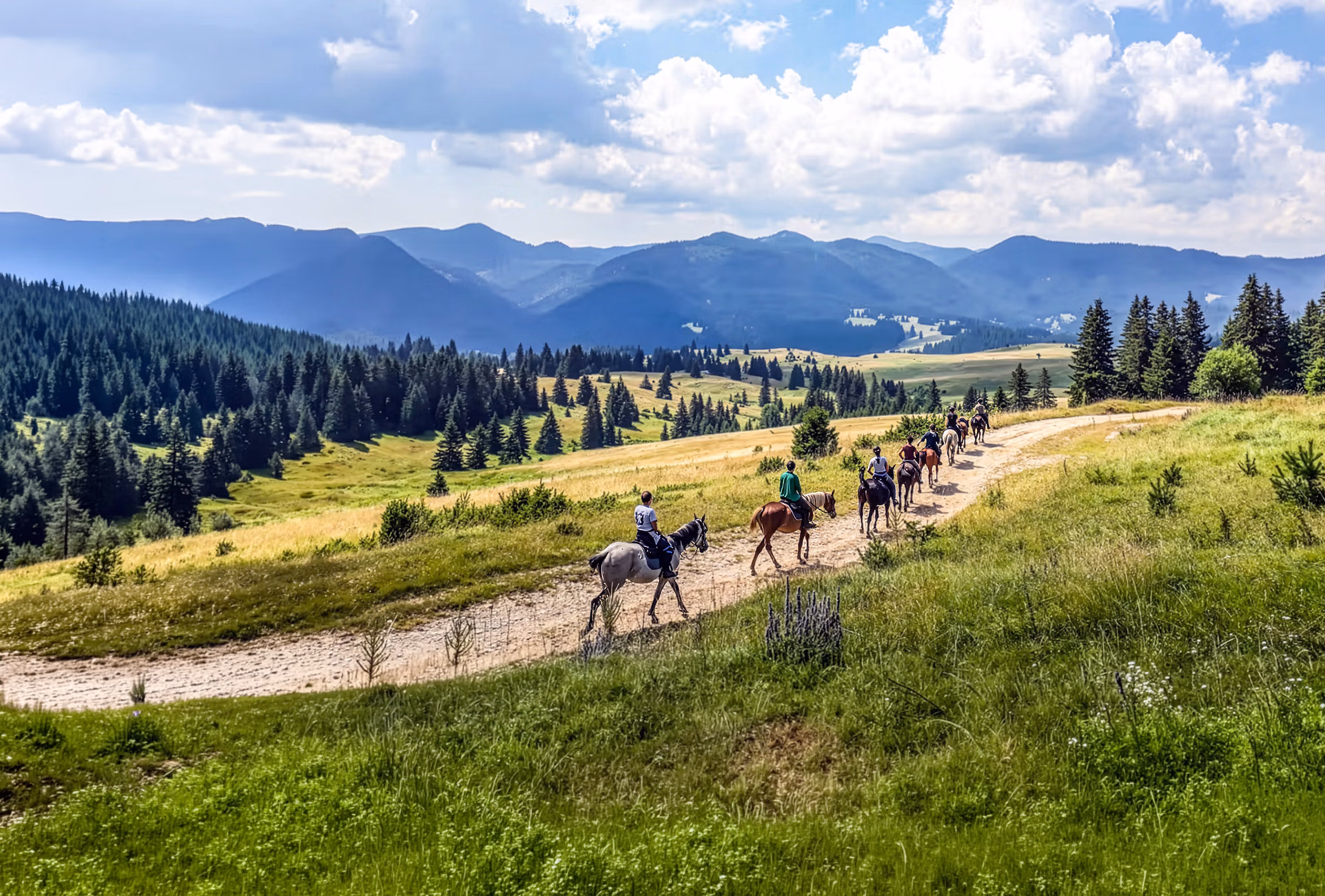 Un groupe de cavaliers évolue sur un sentier sinueux à travers les paysages montagneux pittoresques des montagnes des Rhodopes.