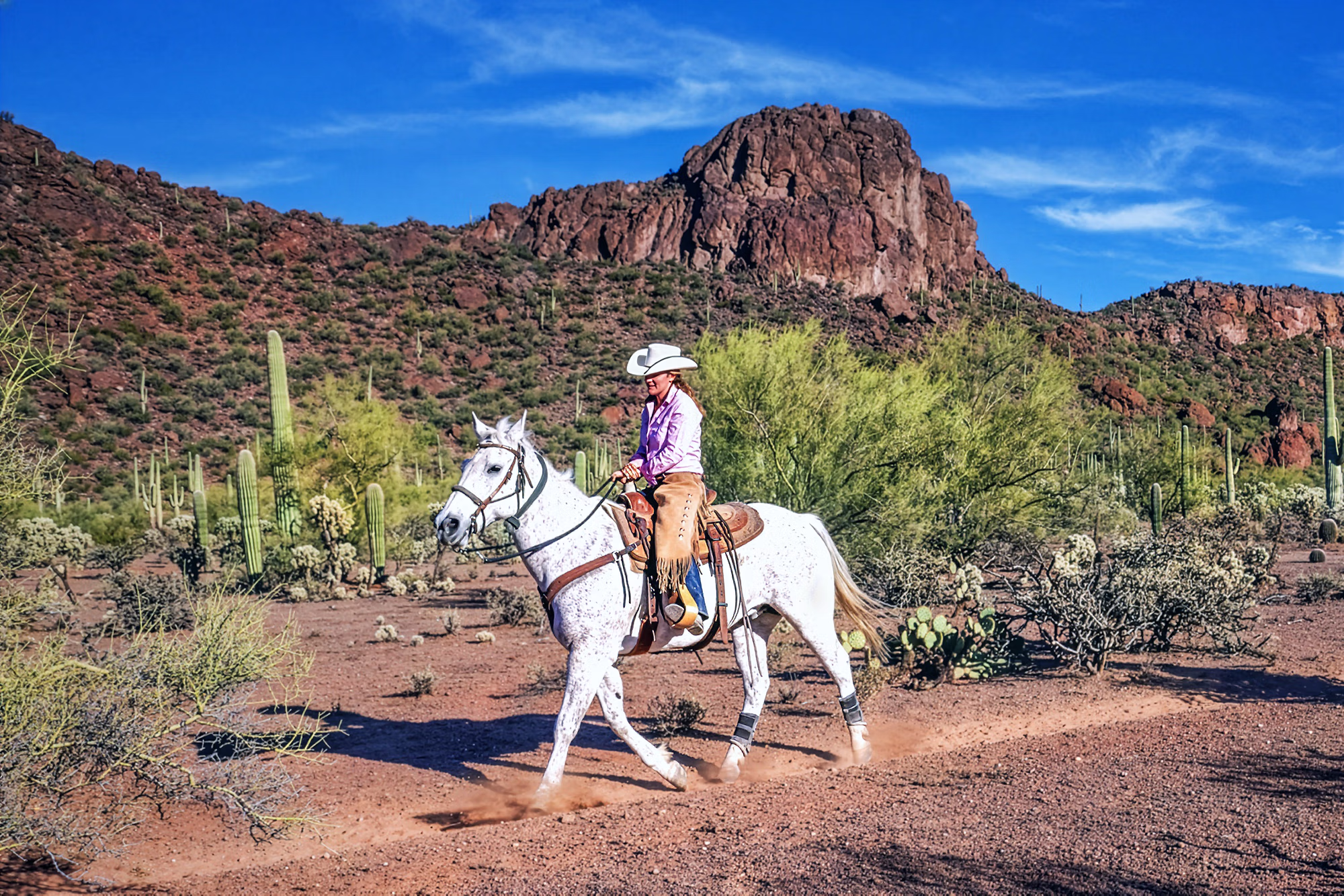 Une cavalière en tenue complète de cow-boy traverse à cheval un paysage désertique typique de l’Arizona, entouré de grands cactus saguaros.
