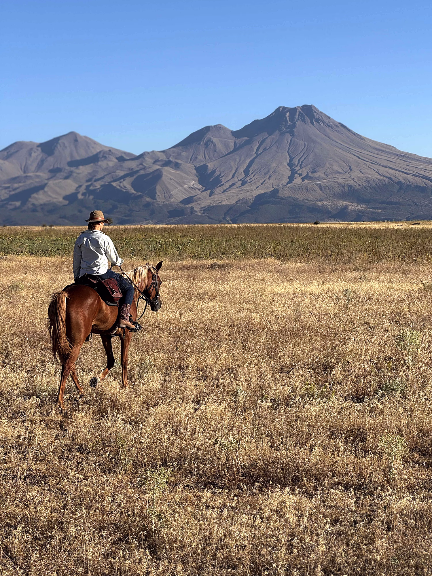 Vue de dos d’une cavalière à l’arrêt dans une vaste étendue d’herbe sèche, face à une montagne au loin.