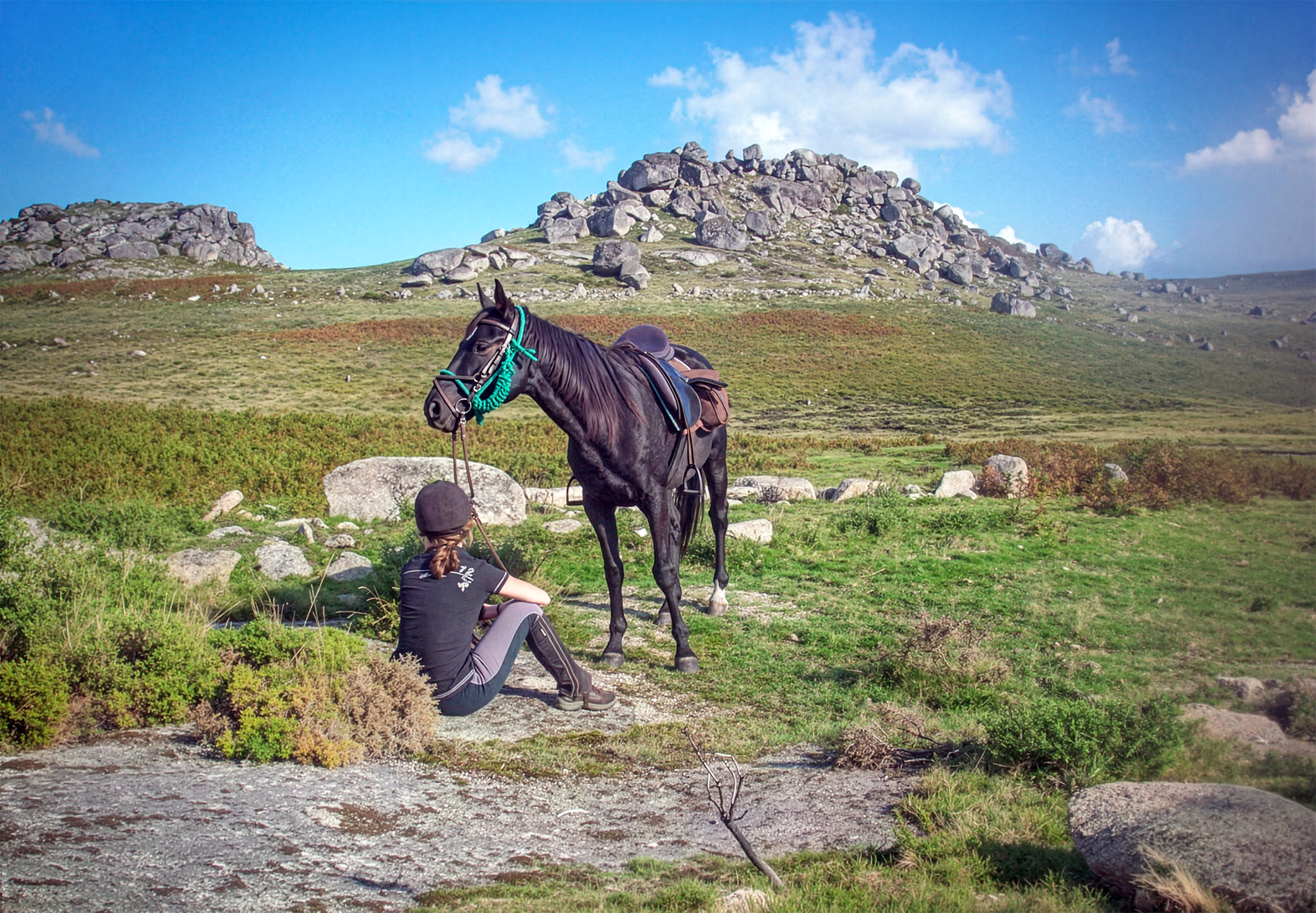 Une cavalière et son cheval faisant une pause paisible sur une colline verdoyante.