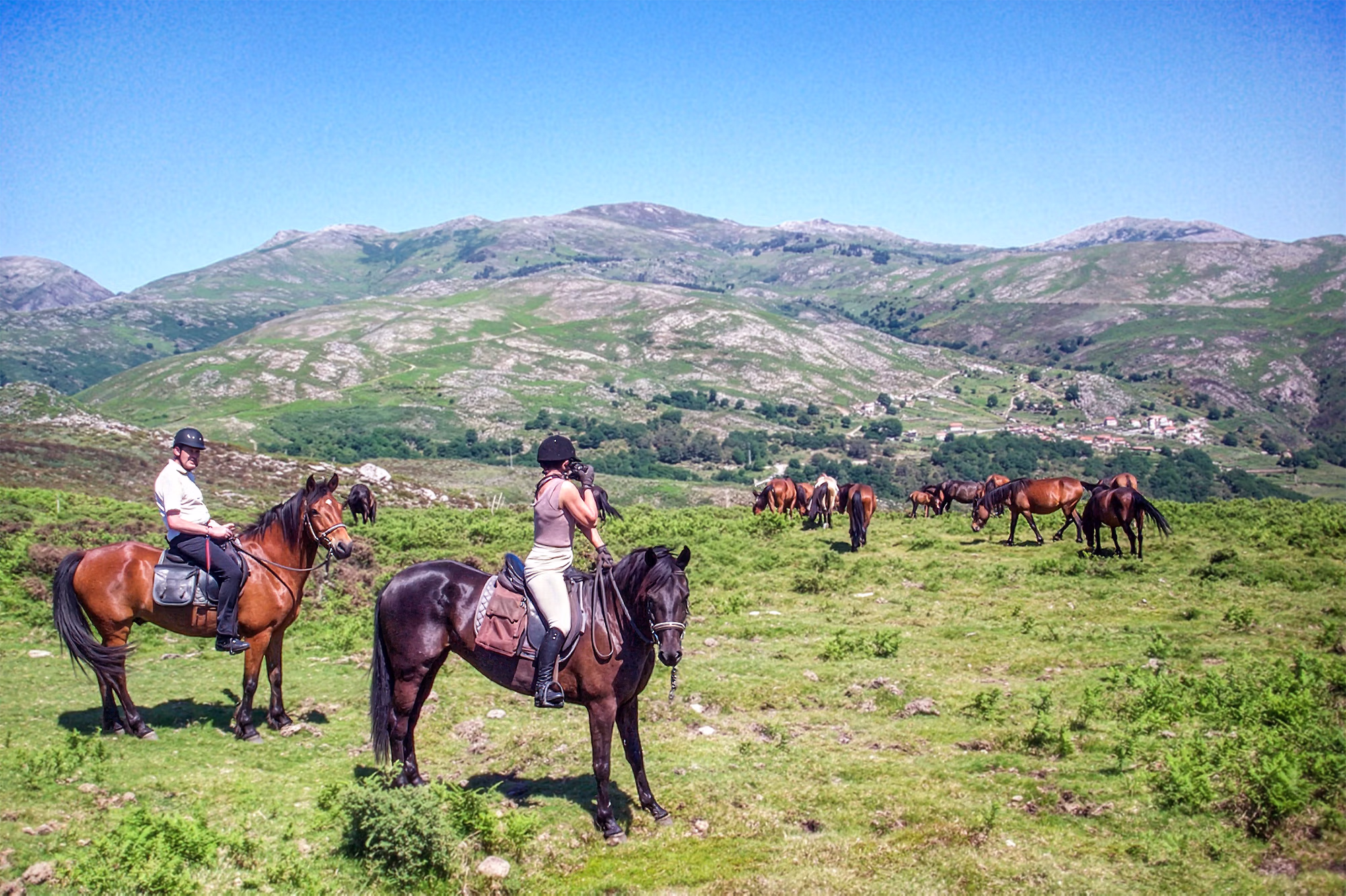 Un groupe de cavaliers fait une pause sur un sentier pittoresque pour admirer la vue, tandis que l’un d’eux prend une photo.
