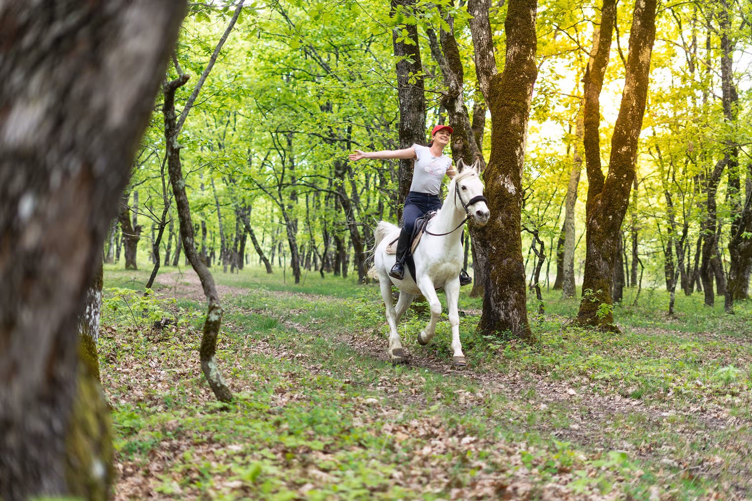 Une cavalière souriante sur un cheval blanc traverse une forêt verdoyante.