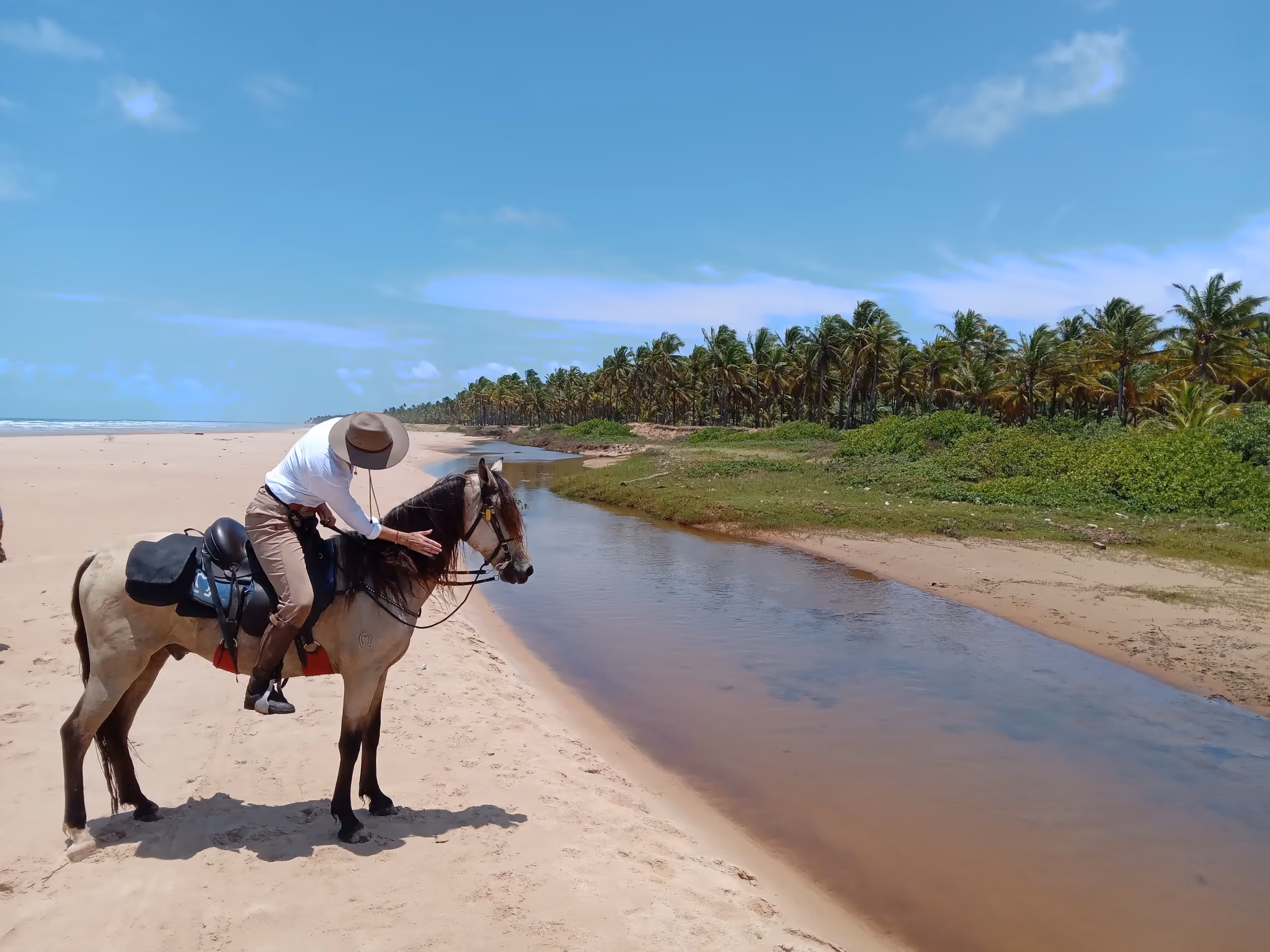 Un cavalier avec son cheval sur une plage bordée de palmiers, à côté d’une rivière côtière.
