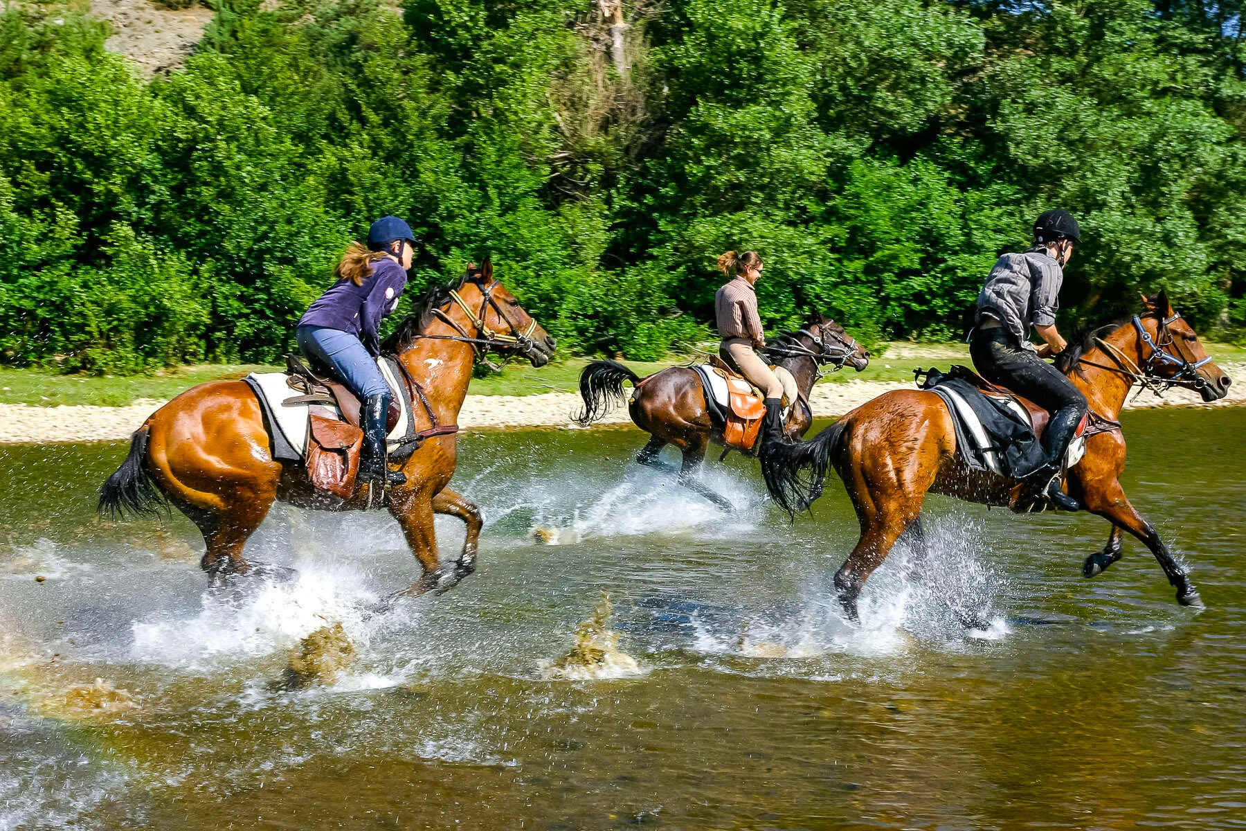 Un groupe de trois cavaliers galopent joyeusement dans une riviere, longeant une belle foret en Bulgarie.