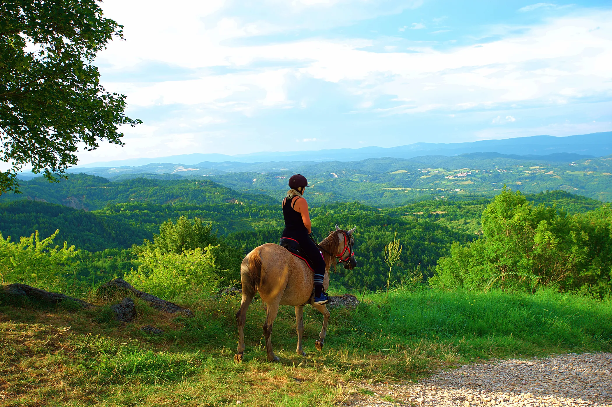 Une cavaliere a cheval observe un beau paysage verdoyant de Croatie depuis le sommet d'une colline, sous un arbre.