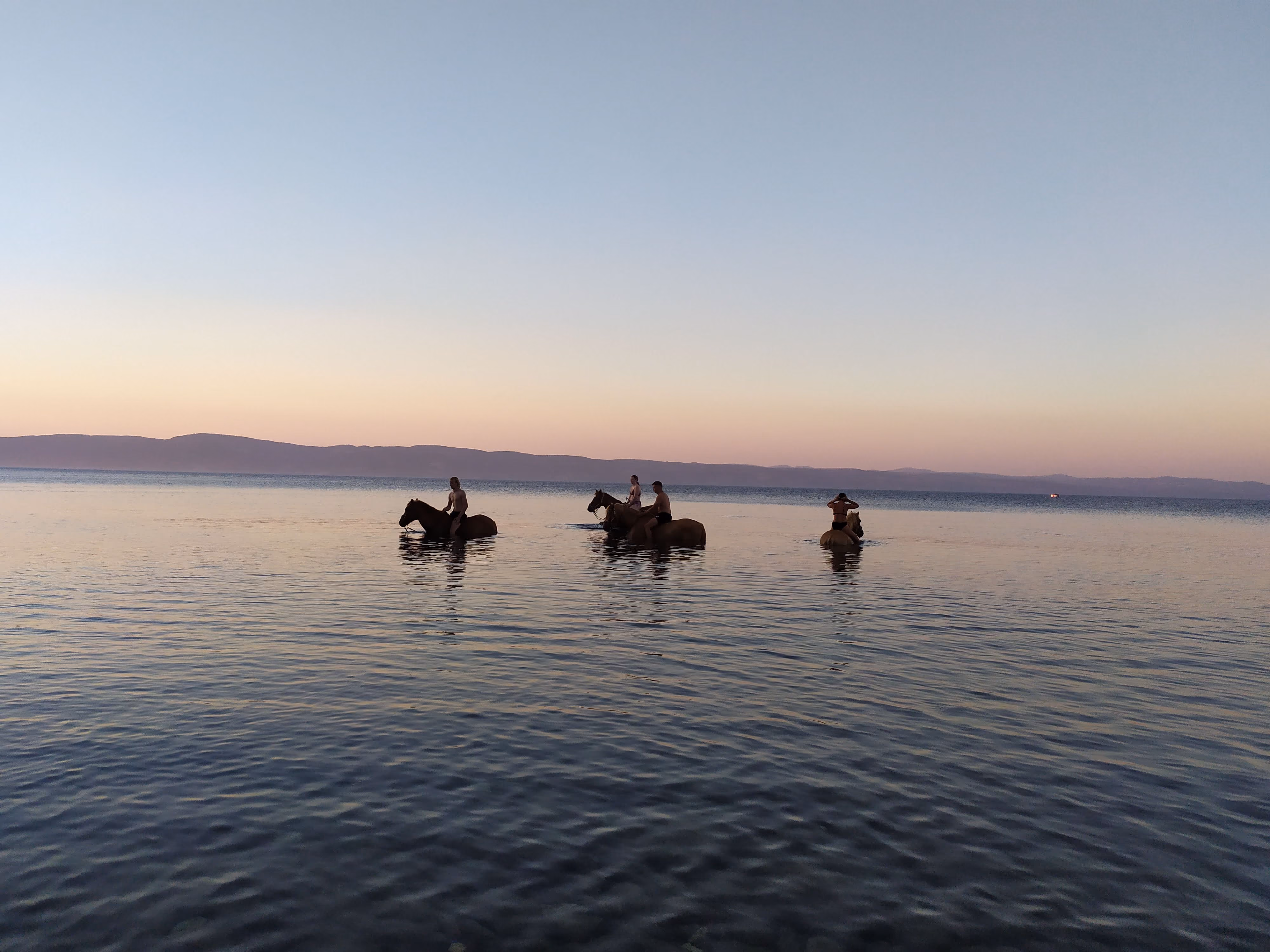 Quatre cavaliers en maillots de bain se baignent sur leurs chevaux dans une mer calme au coucher du soleil en Grece