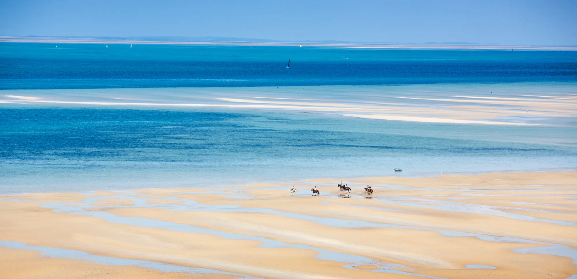 Un groupe de cavaliers traverse les bancs de sable à marée basse, au bord d’une vaste étendue d’eau.