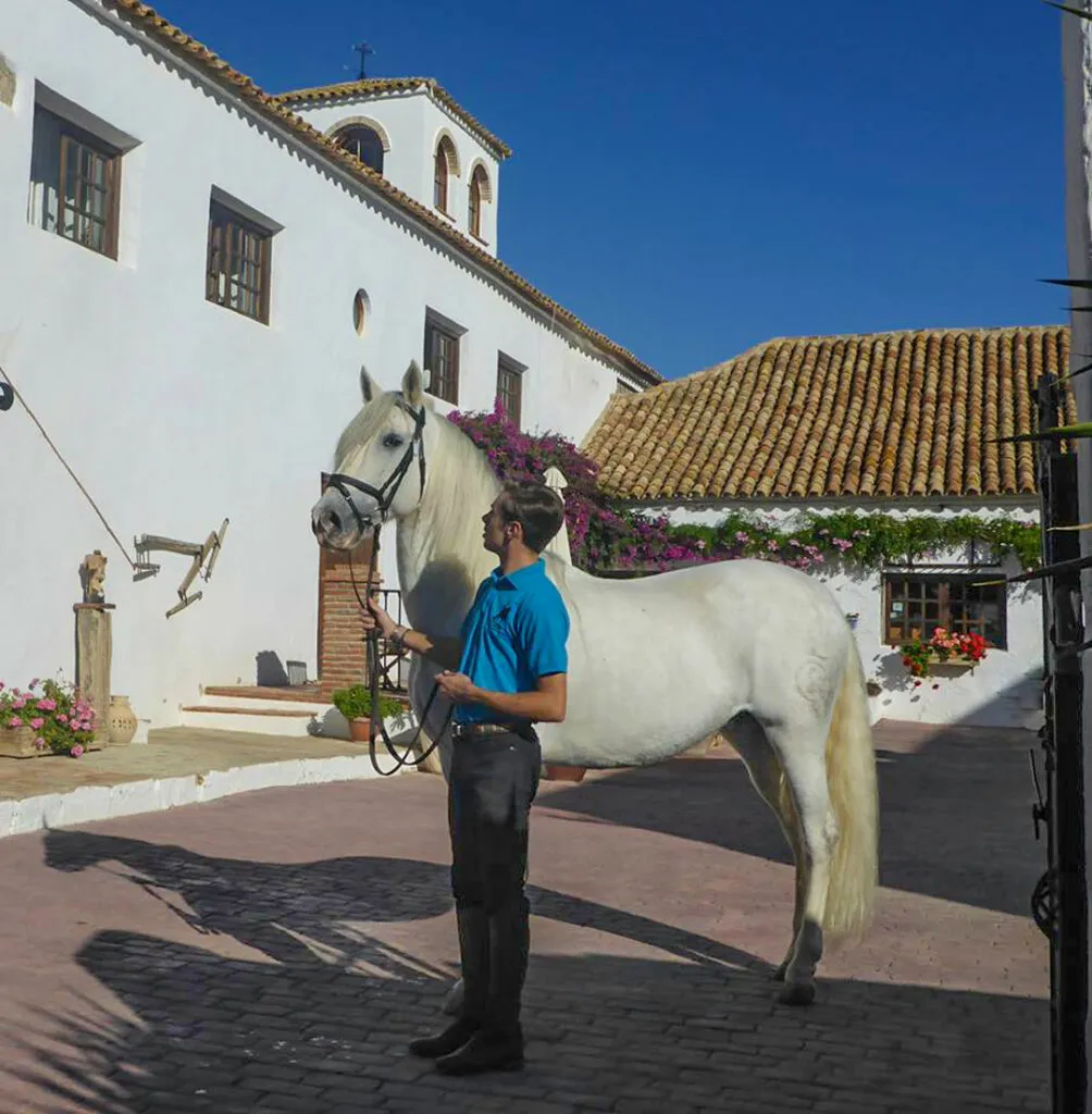 vacances à cheval