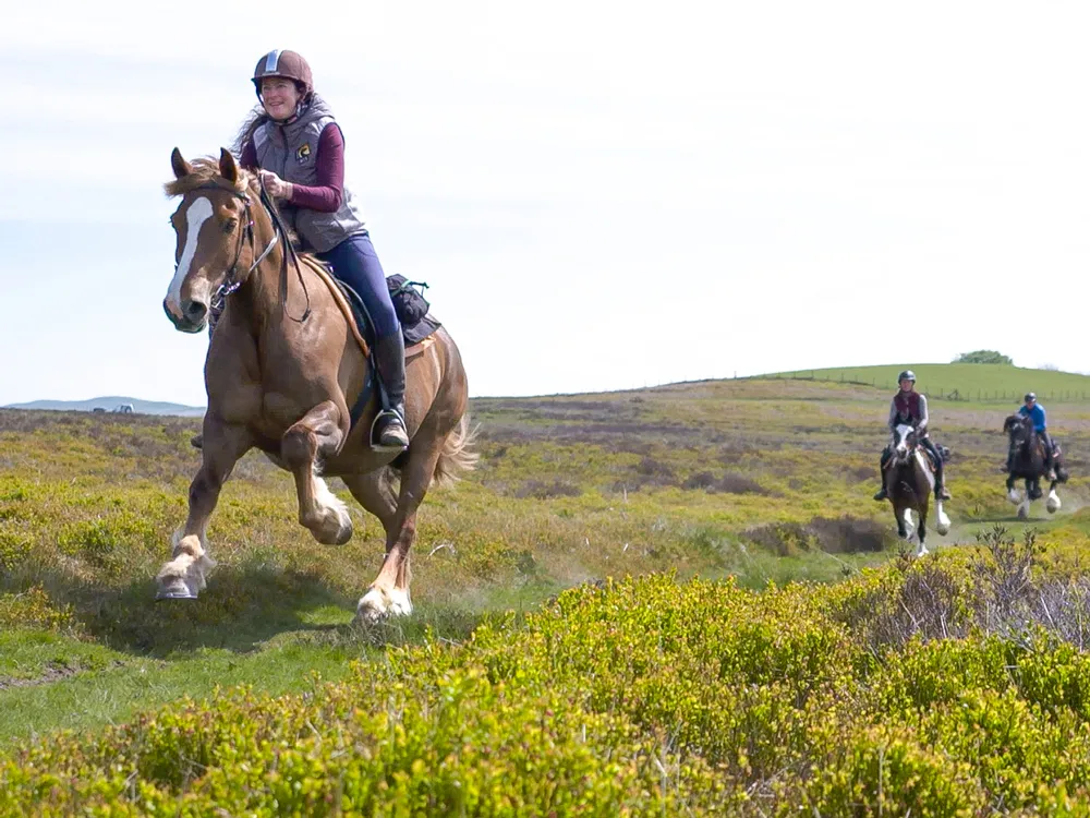 vacances à cheval