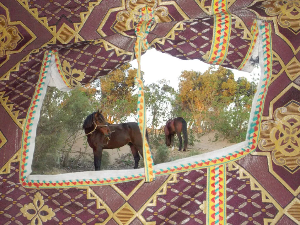 vacances à cheval