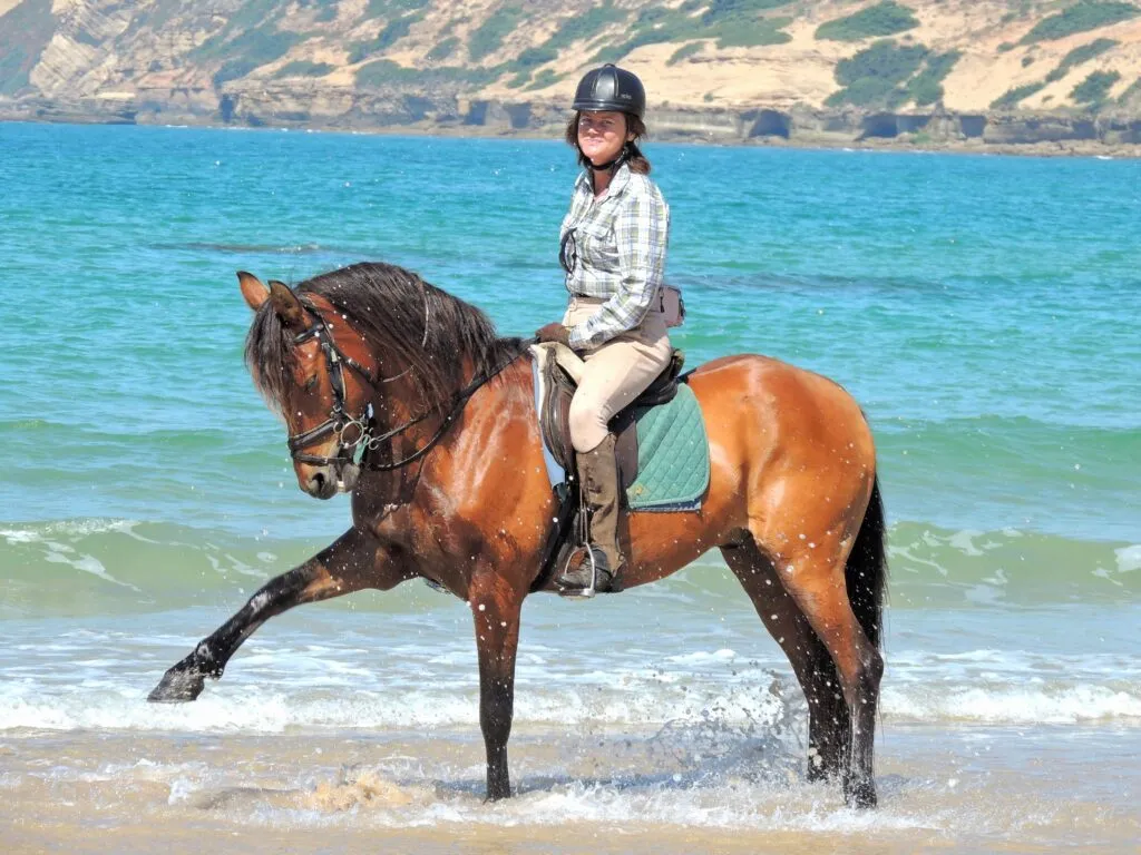 voyage à cheval