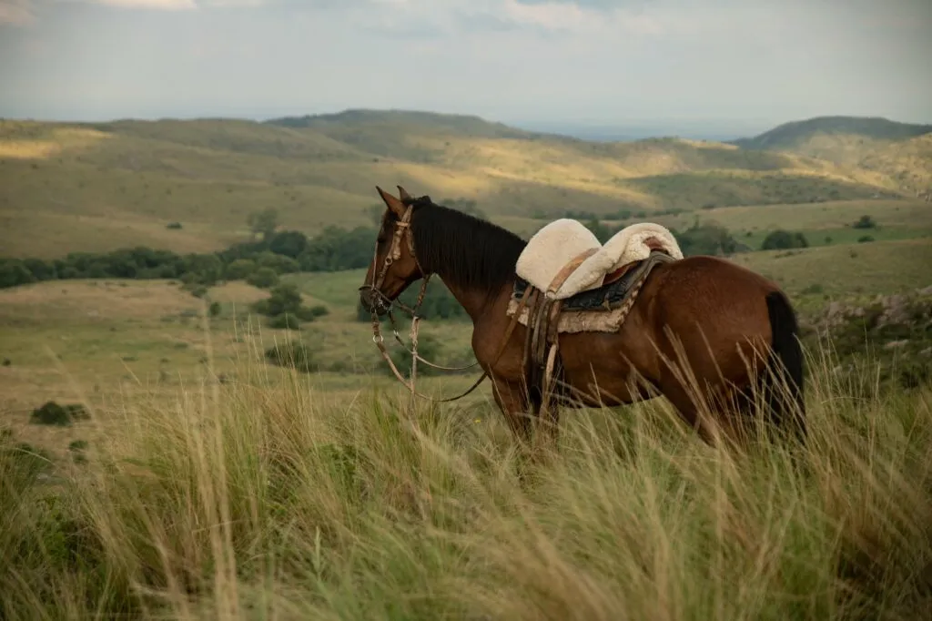 voyage à cheval