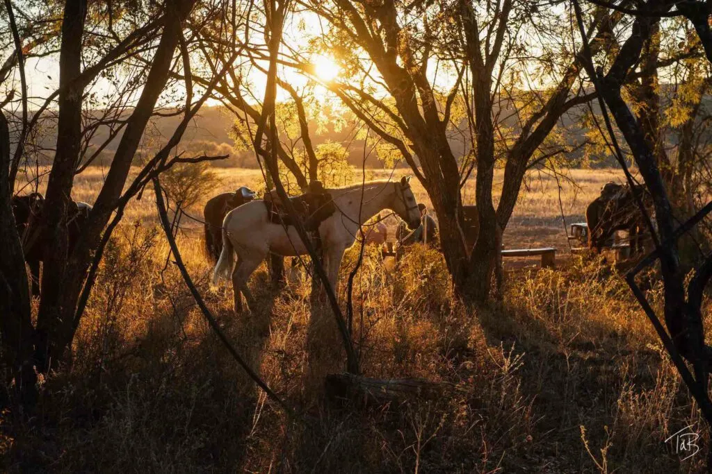 voyage à cheval