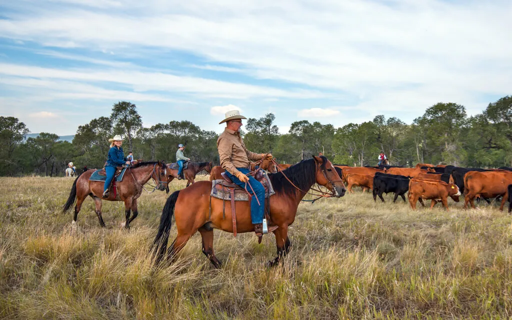 voyage à cheval