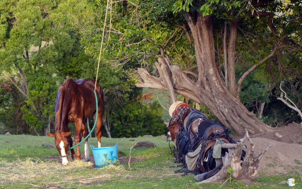 voyage à cheval
