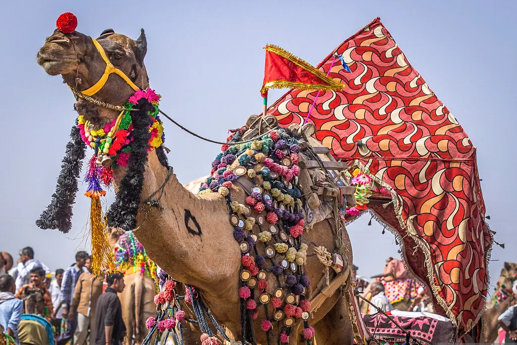 Voyage à cheval