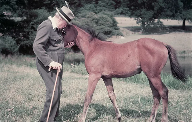 voyages à cheval