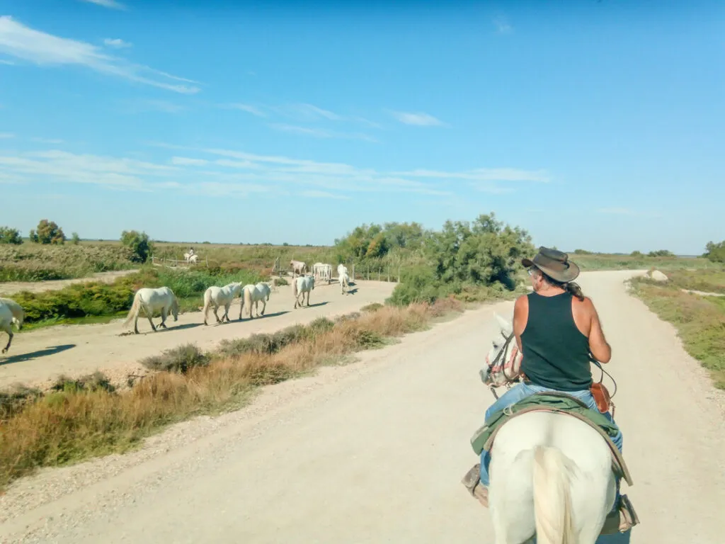 Voyage à cheval