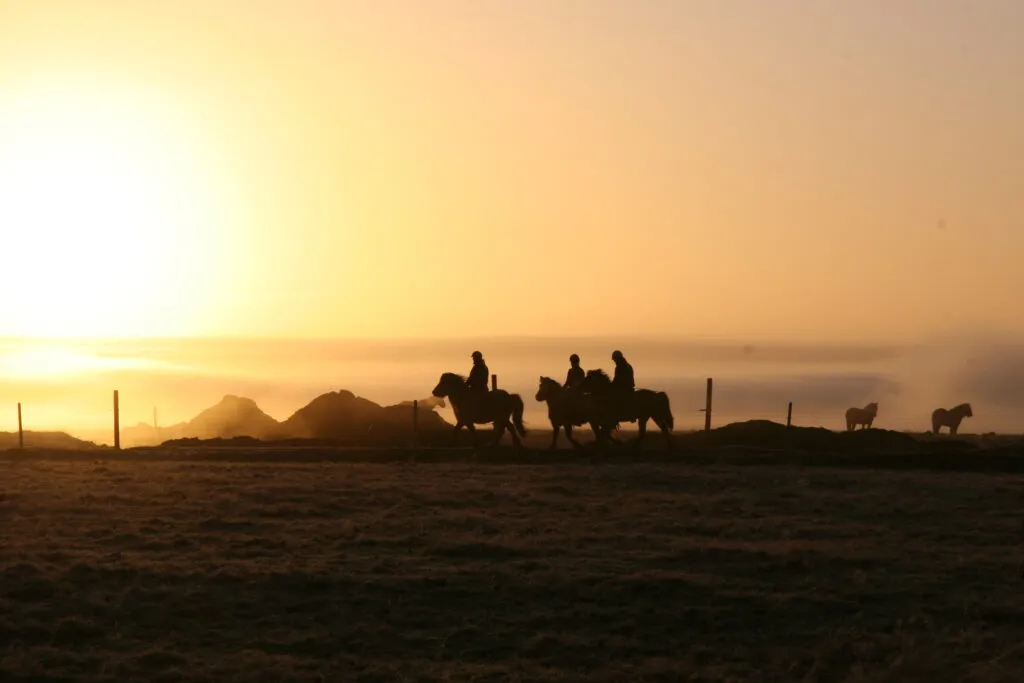 Sejours Equestres Islande