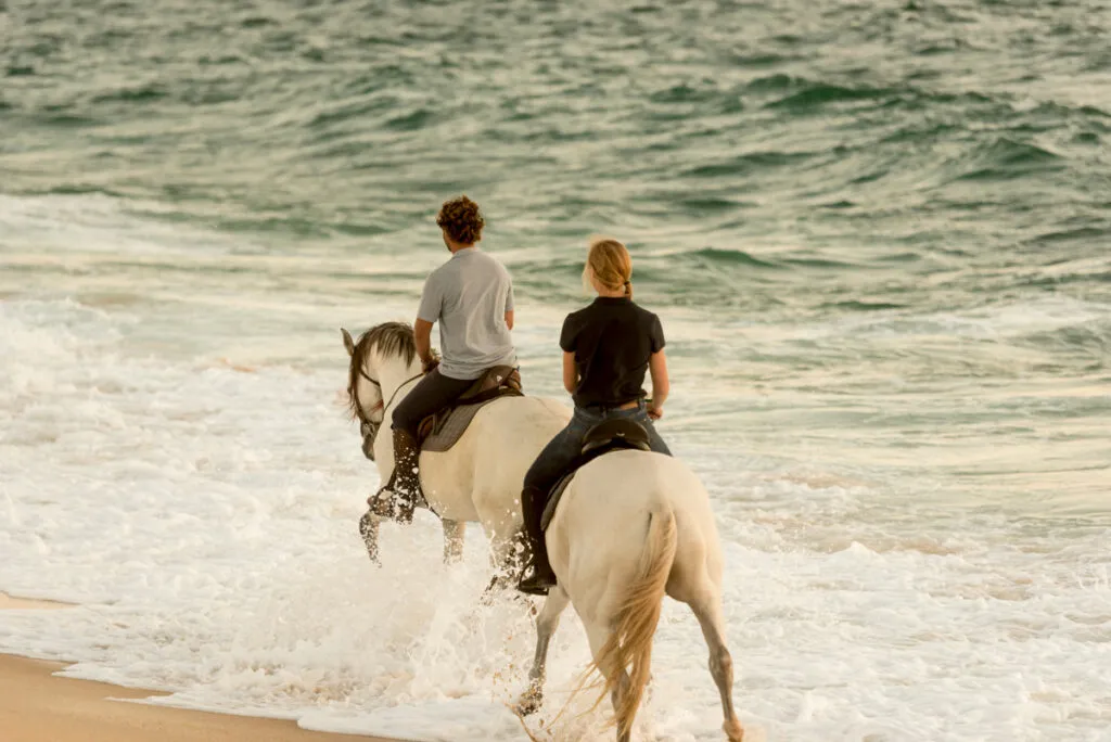 Voyage à cheval