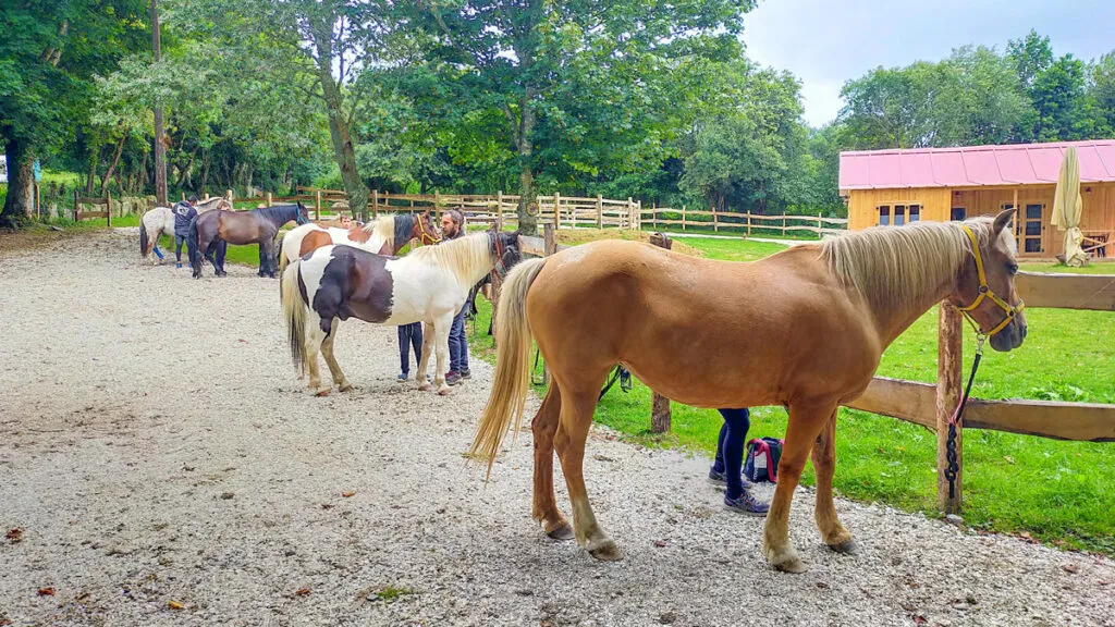 voyage à cheval