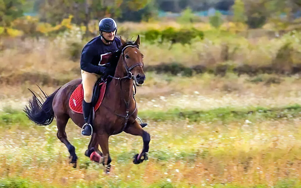 voyage à cheval