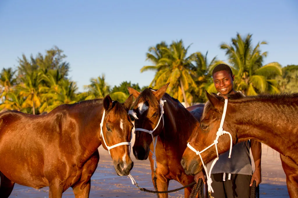 Voyage à cheval