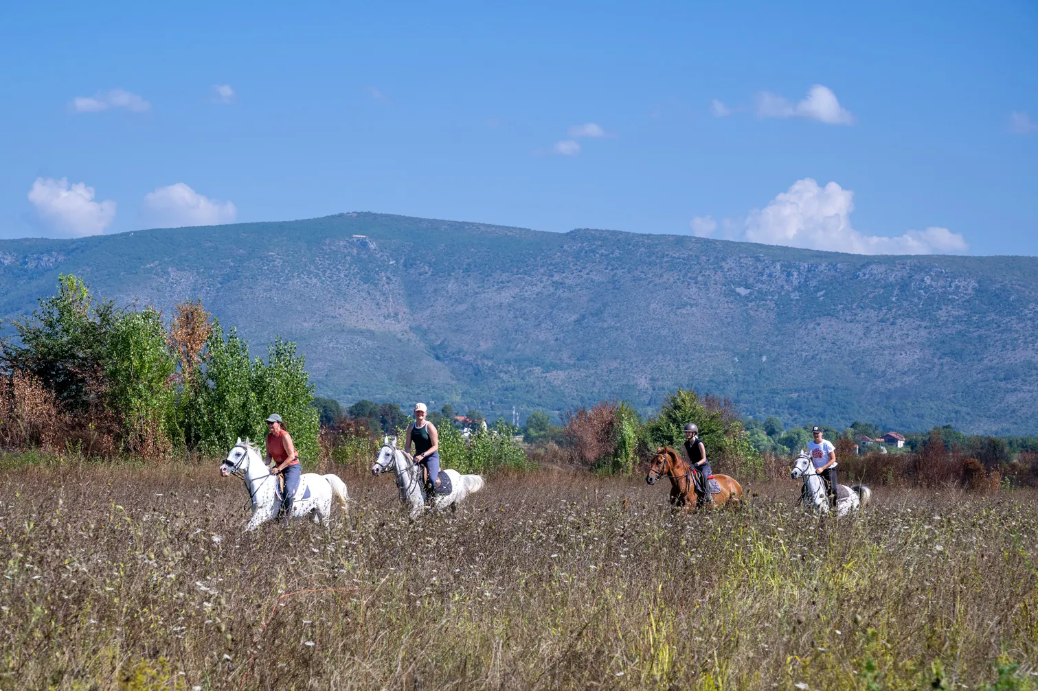 voyage à cheval