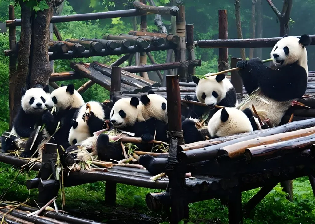 voyage à cheval en Chine