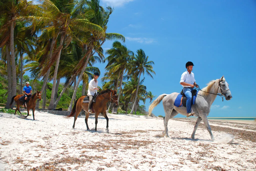 voyage à cheval, Mozambique