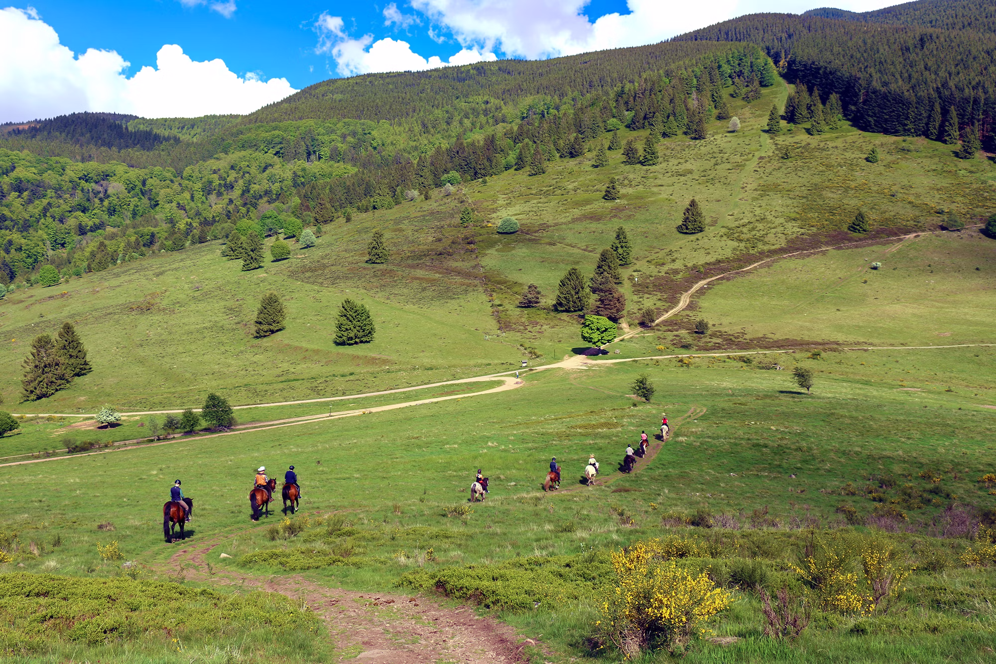 Groupe de cavaliers à cheval traversant les paysages verdoyants des montagnes des Vosges