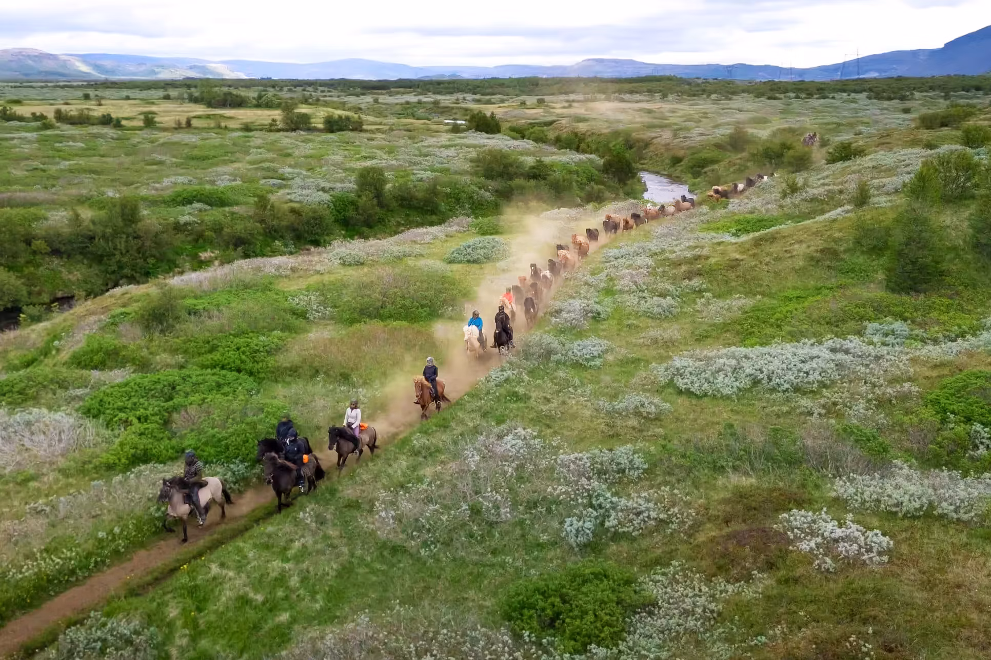 Groupe de chevaux islandais et cavaliers pendant une randonnée dans la nature islandaise