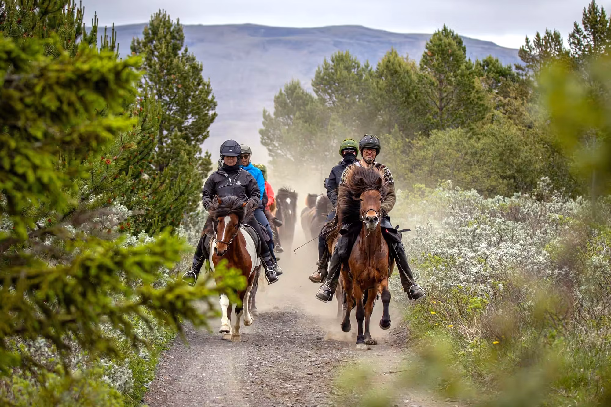 Groupe de cavaliers montant des chevaux islandais à travers une vallée verdoyante