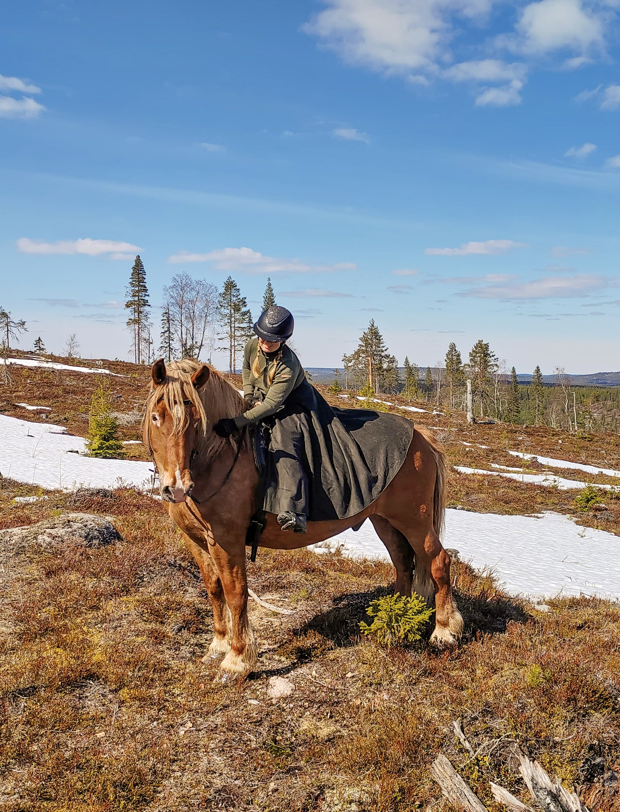 Un cavalier sur un cheval dans la forêt au Laponie