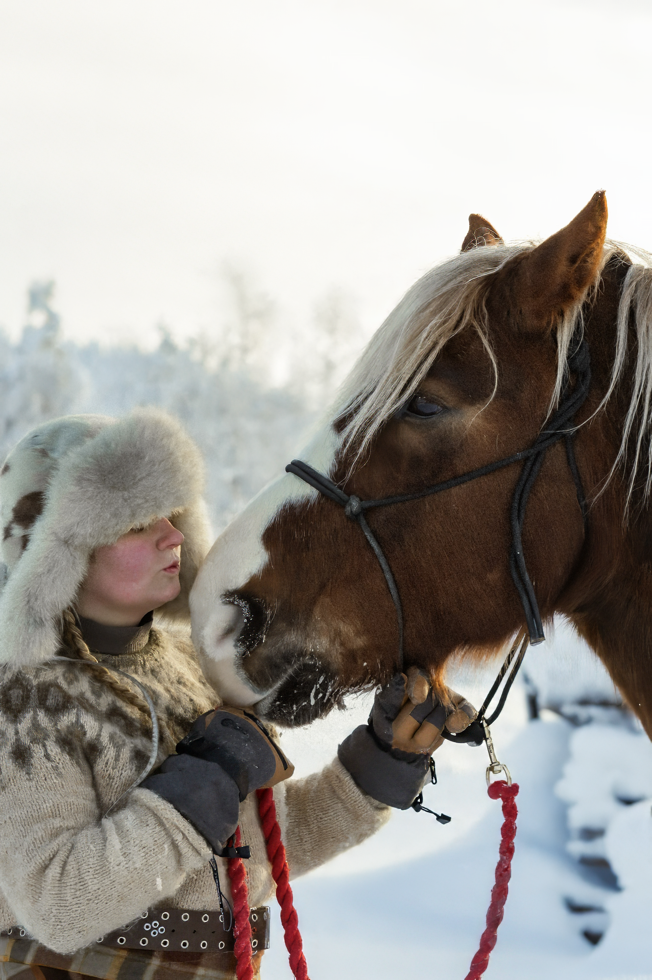 Cavalier embrassant son cheval dans les paysages enneigés de Laponie finlandaise