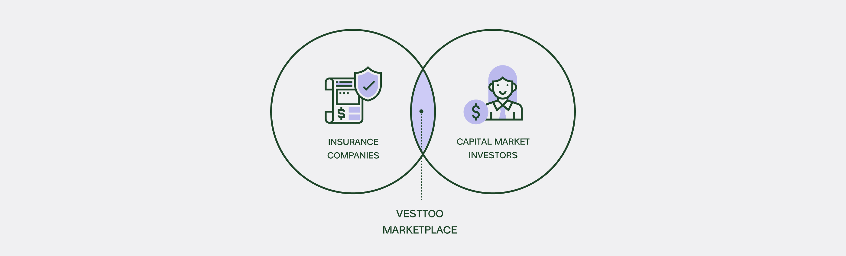 Diagram explaining the platform